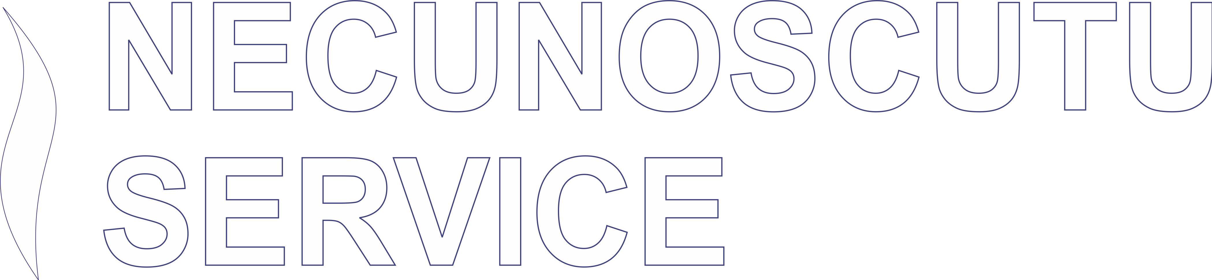 Necunoscutu Service